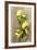 Clementinen, Leaves-Nikky-Framed Photographic Print