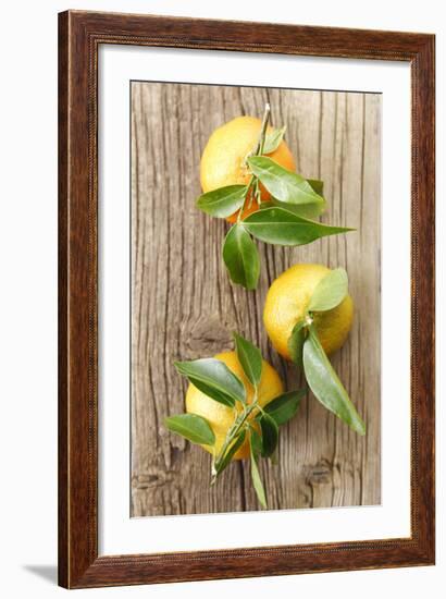 Clementinen, Leaves-Nikky-Framed Photographic Print