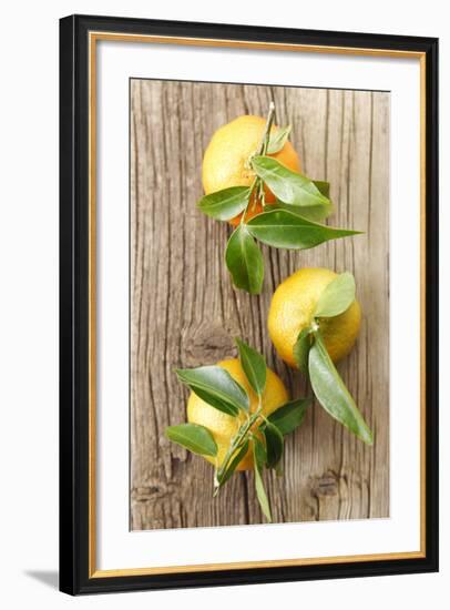 Clementinen, Leaves-Nikky-Framed Photographic Print