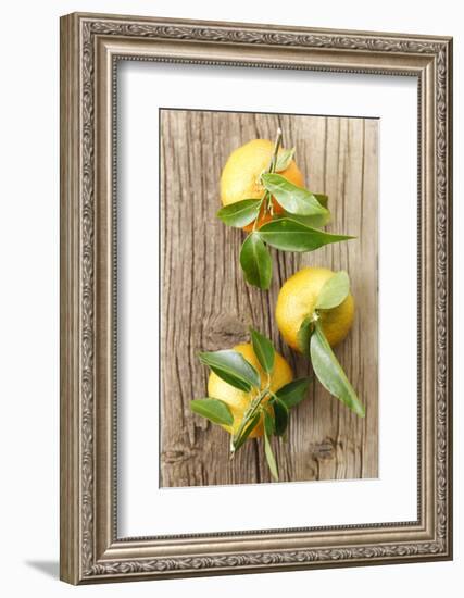 Clementinen, Leaves-Nikky-Framed Photographic Print