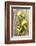 Clementinen, Leaves-Nikky-Framed Photographic Print