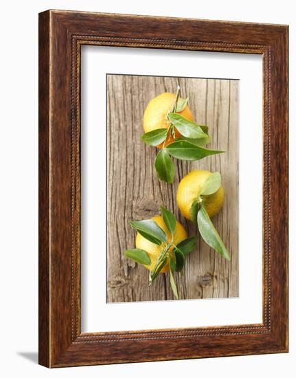 Clementinen, Leaves-Nikky-Framed Photographic Print