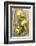 Clementinen, Leaves-Nikky-Framed Photographic Print