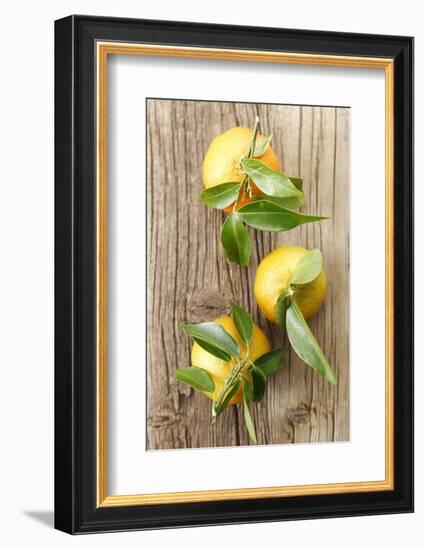 Clementinen, Leaves-Nikky-Framed Photographic Print