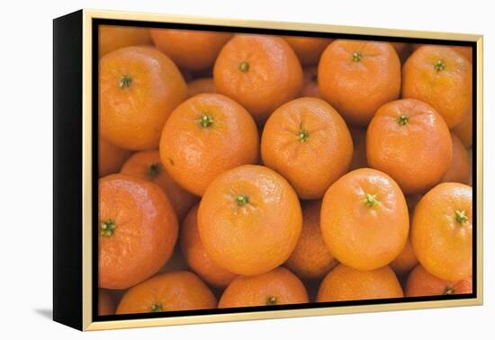 Clementines (Full-Frame)-Foodcollection-Framed Premier Image Canvas