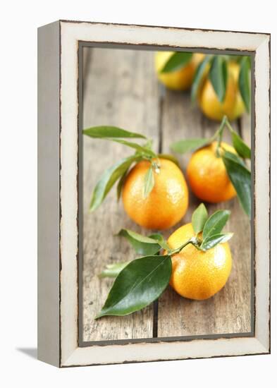 Clementines with Leaves on Wood-Nikky-Framed Premier Image Canvas