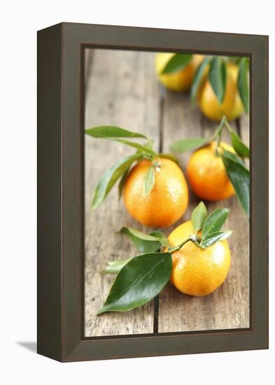 Clementines with Leaves on Wood-Nikky-Framed Premier Image Canvas