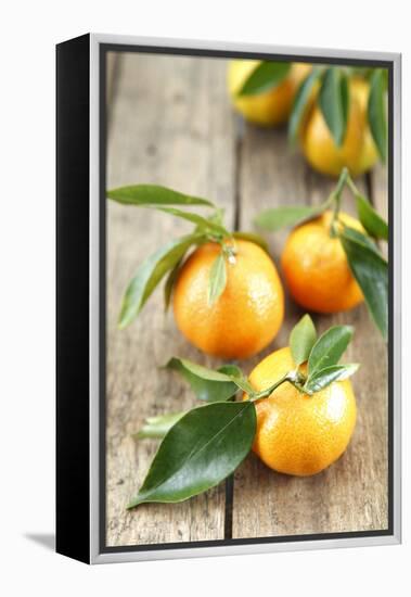 Clementines with Leaves on Wood-Nikky-Framed Premier Image Canvas