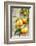 Clementines with Leaves on Wood-Nikky-Framed Photographic Print