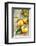 Clementines with Leaves on Wood-Nikky-Framed Photographic Print