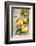 Clementines with Leaves on Wood-Nikky-Framed Photographic Print