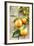 Clementines with Leaves on Wood-Nikky-Framed Photographic Print