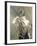 Cleo De Merode, Famous Dancer at the Opera in Paris-Giovanni Boldini-Framed Art Print