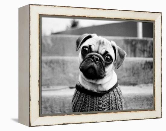 Cleo-Kim Levin-Framed Premier Image Canvas