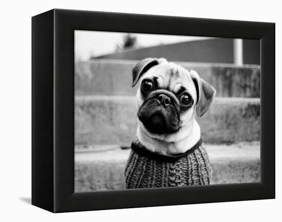 Cleo-Kim Levin-Framed Premier Image Canvas