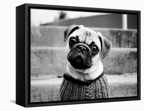 Cleo-Kim Levin-Framed Premier Image Canvas