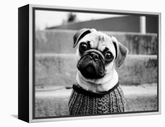 Cleo-Kim Levin-Framed Premier Image Canvas