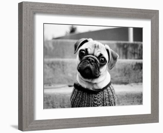 Cleo-Kim Levin-Framed Photographic Print