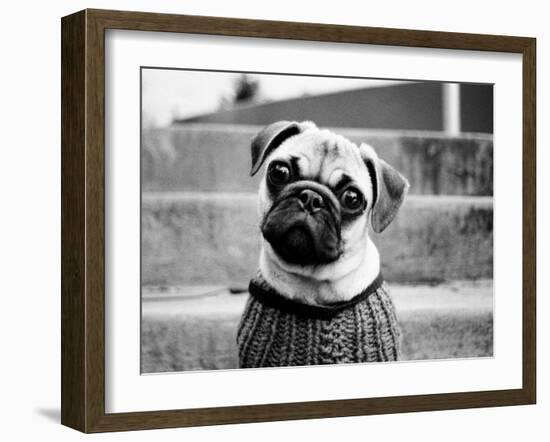 Cleo-Kim Levin-Framed Photographic Print