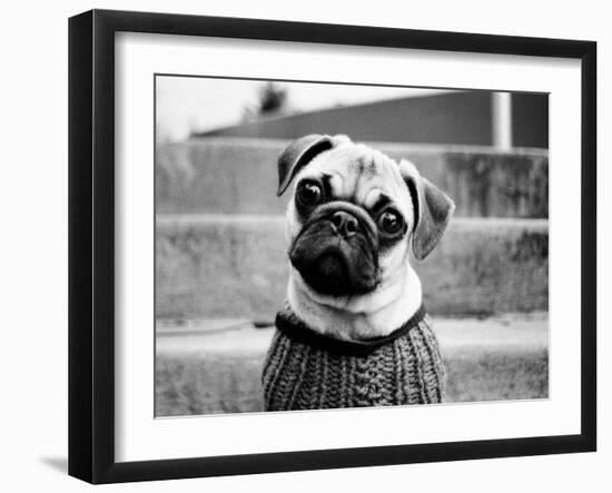 Cleo-Kim Levin-Framed Photographic Print