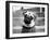 Cleo-Kim Levin-Framed Photographic Print