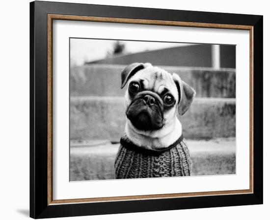 Cleo-Kim Levin-Framed Photographic Print