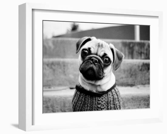 Cleo-Kim Levin-Framed Photographic Print