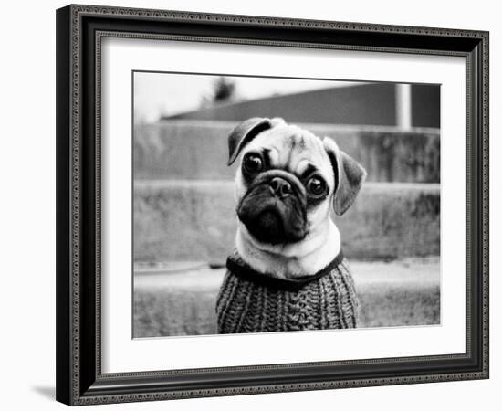 Cleo-Kim Levin-Framed Photographic Print