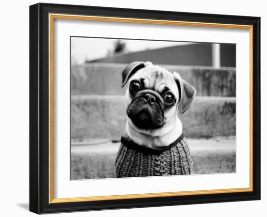 Cleo-Kim Levin-Framed Photographic Print