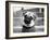 Cleo-Kim Levin-Framed Photographic Print