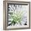 Cleome Splash II Black-Julia Purinton-Framed Art Print