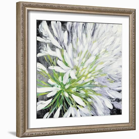 Cleome Splash II Black-Julia Purinton-Framed Art Print