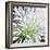 Cleome Splash II Black-Julia Purinton-Framed Art Print