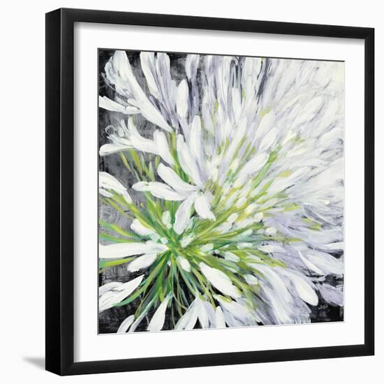 Cleome Splash II Black-Julia Purinton-Framed Art Print