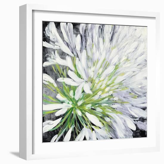 Cleome Splash II Black-Julia Purinton-Framed Art Print