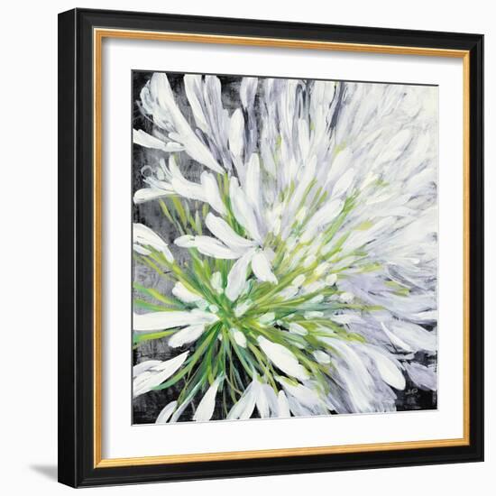 Cleome Splash II Black-Julia Purinton-Framed Art Print