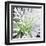 Cleome Splash II Black-Julia Purinton-Framed Art Print