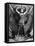 Cleopatra, 1917-null-Framed Premier Image Canvas