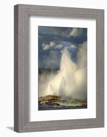 Clepsydra Geyser along the Fountain Paint Pot Trail, Yellowstone National Park.-Alan Majchrowicz-Framed Photographic Print