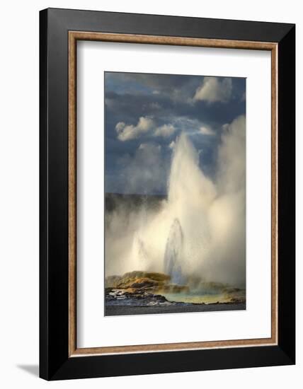 Clepsydra Geyser along the Fountain Paint Pot Trail, Yellowstone National Park.-Alan Majchrowicz-Framed Photographic Print