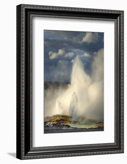 Clepsydra Geyser along the Fountain Paint Pot Trail, Yellowstone National Park.-Alan Majchrowicz-Framed Photographic Print