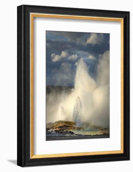 Clepsydra Geyser along the Fountain Paint Pot Trail, Yellowstone National Park.-Alan Majchrowicz-Framed Photographic Print