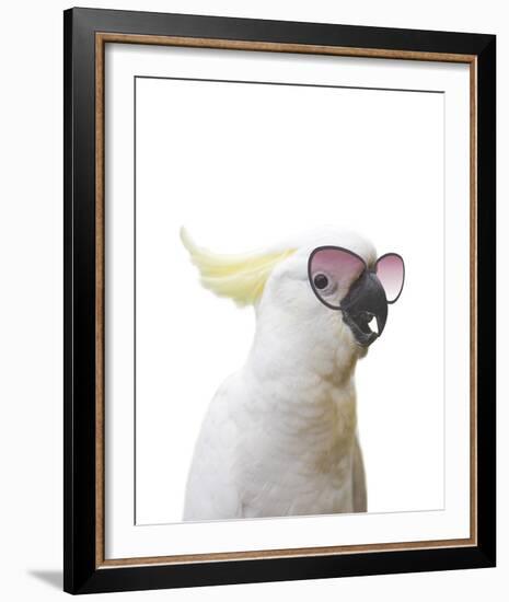 Clever Cockatoo-Andrew Watson-Framed Giclee Print