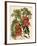 Clianthus Puniceus-S. Watts-Framed Giclee Print