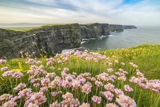 Cliffs of Moher with flowers on the foreground. Liscannor, Munster, Co.Clare, Ireland, Europe.-ClickAlps-Photographic Print