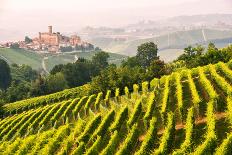 Italy, Piedmont,Cuneo district, Langhe, Castiglione Falletto, the vineyards and the castle of Casti-ClickAlps-Photographic Print