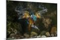 Photographic Print