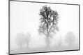 Photographic Print