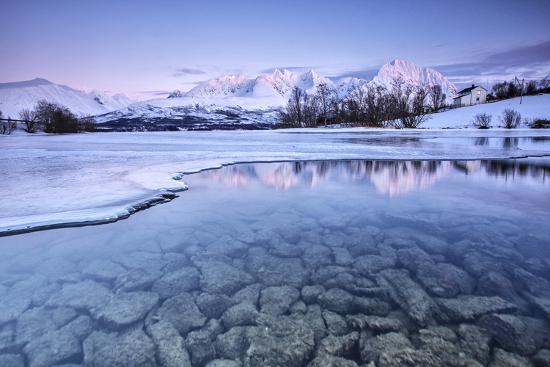 Photographic Print, , large