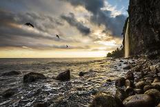 Cliffs of Moher with flowers on the foreground. Liscannor, Munster, Co.Clare, Ireland, Europe.-ClickAlps-Photographic Print